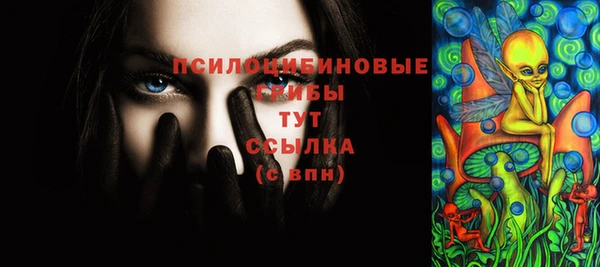 дурь Медвежьегорск