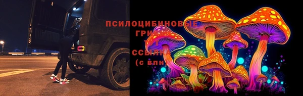 гидропоника Мегион