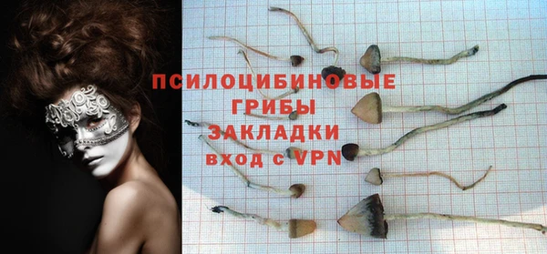 дурь Медвежьегорск
