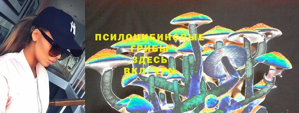 дурь Медвежьегорск