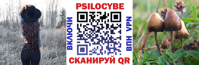 Псилоцибиновые грибы Psilocybine cubensis Купить закладки Искитим